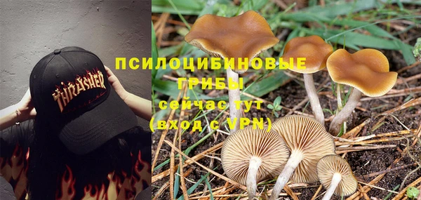 гидра Магадан