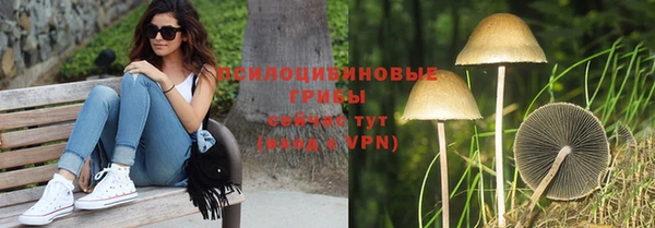гидра Магадан