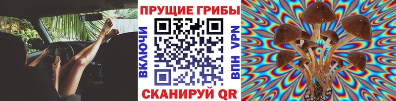 Купить где  Кадников  Псилоцибиновые грибы ЛСД 