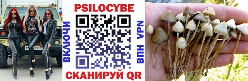 Псилоцибиновые грибы GOLDEN TEACHER Кадников